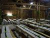 DSC01770.jpg